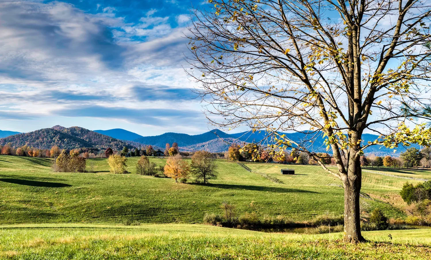 Best Things To Do In Albemarle County Va