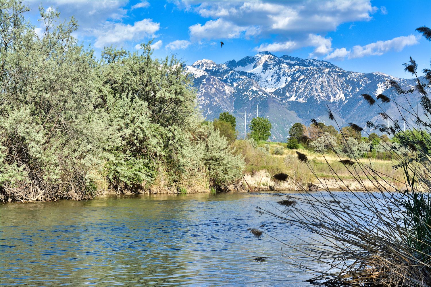 5 Awesome Things to Do in West Jordan, UT